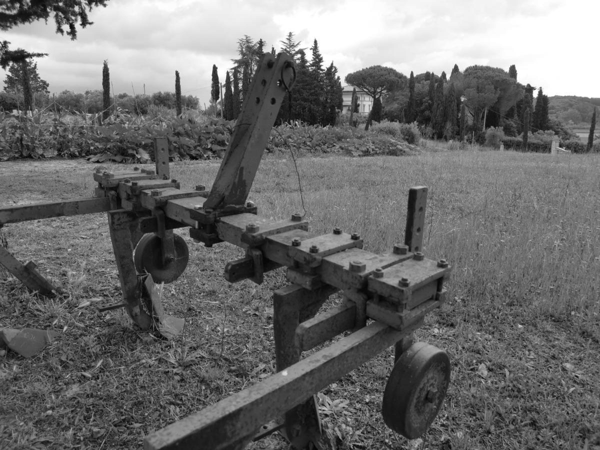 Masseria Le Querciole Fauglia Extérieur photo