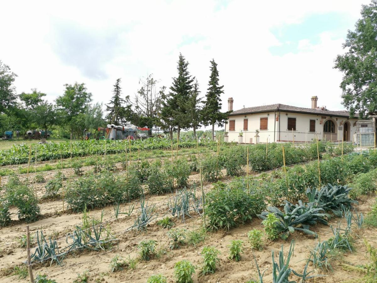 Masseria Le Querciole Fauglia Extérieur photo