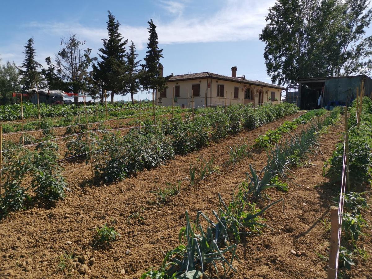 Masseria Le Querciole Fauglia Extérieur photo